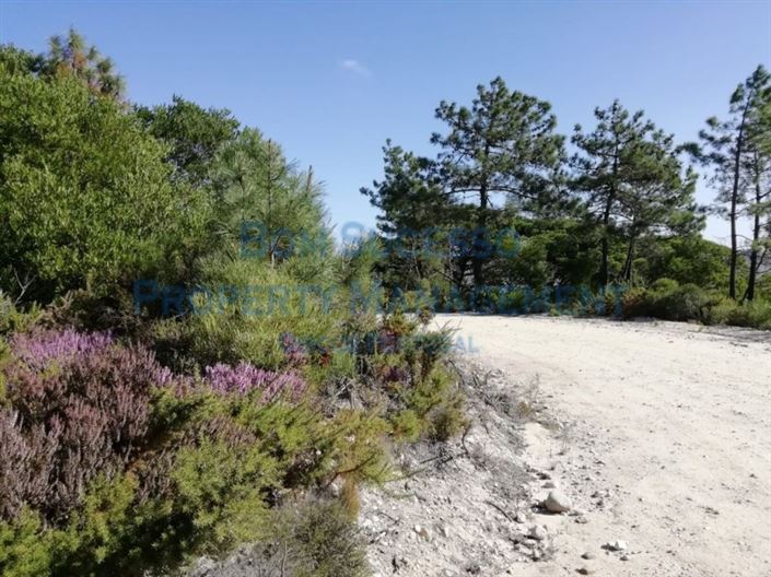 Image No.20-3 Bed House for sale