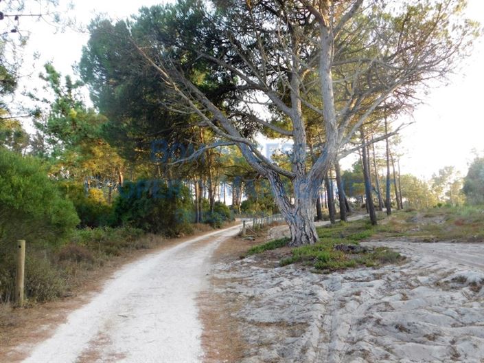 Image No.21-3 Bed House for sale