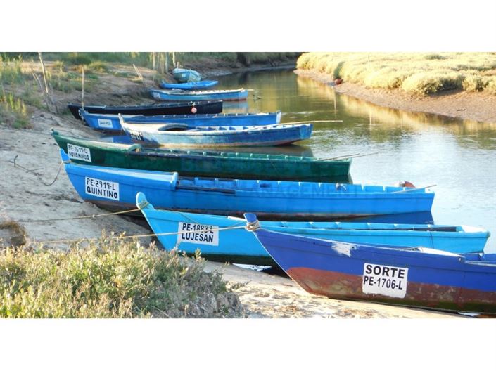 Image No.22-3 Bed House for sale