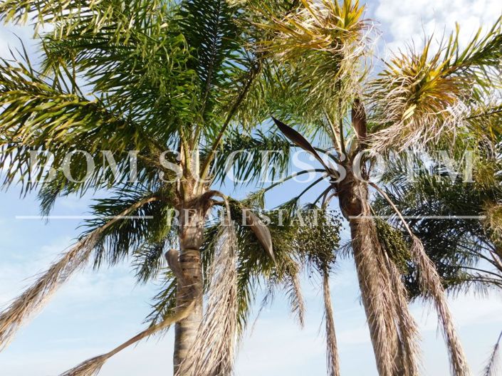 Image No.26-Maison de 3 chambres à vendre à Obidos