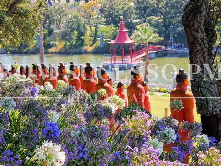 Image No.32-3 Bed House for sale