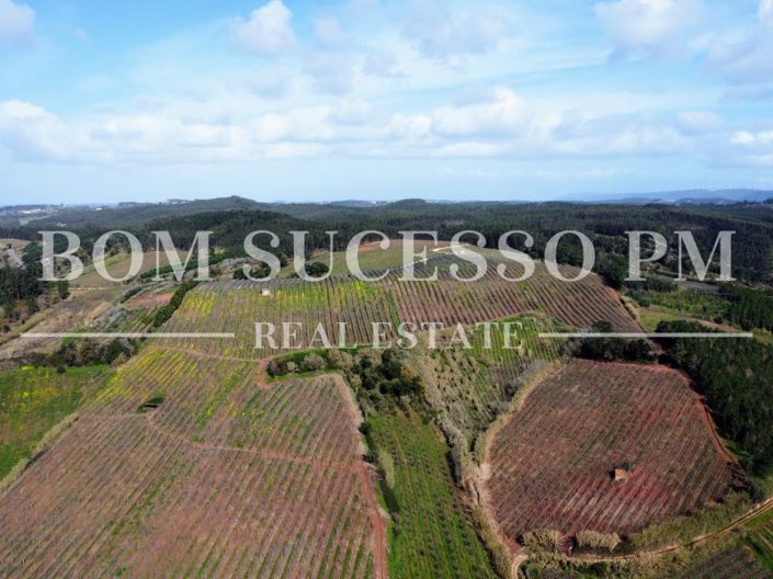 Image No.24-Maison de 3 chambres à vendre à Caldas da Rainha