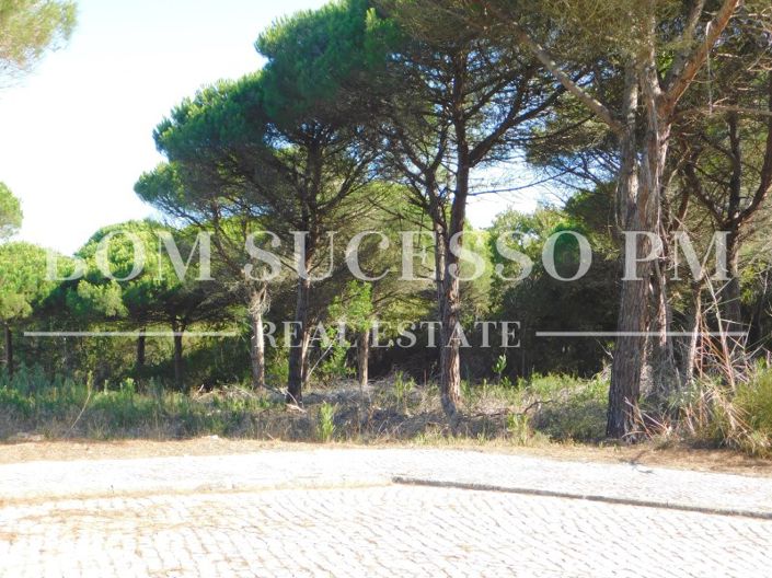 Image No.4-Plot for sale