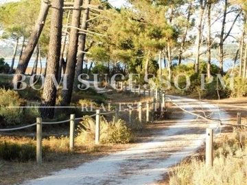 id92b1a201-0000-0500-0000-000016290bb4