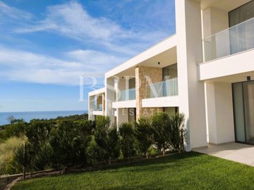 idd256c901-0000-0500-0000-0000193c07d2