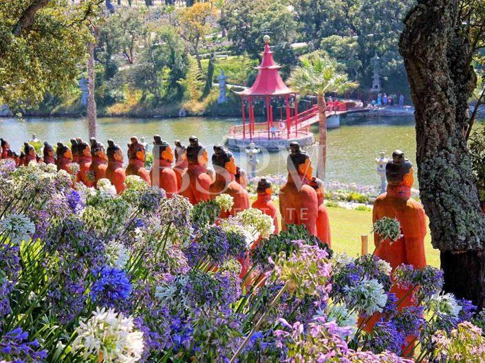 Image No.32-3 Bed House for sale