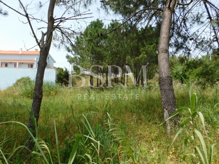 Image No.29-4 Bed House for sale