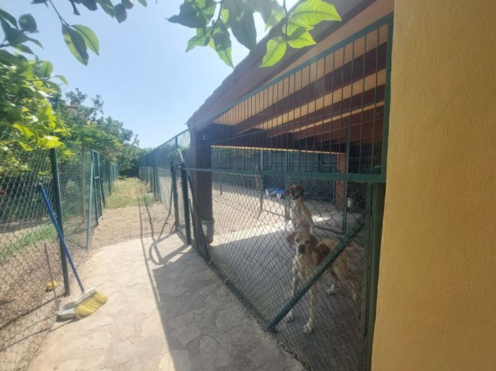 Image No.14-5 Bed Villa for sale