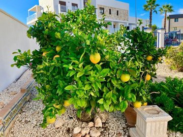 Spain Property Specialists most sold property