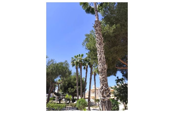 Image No.22-3 Bed Townhouse for sale