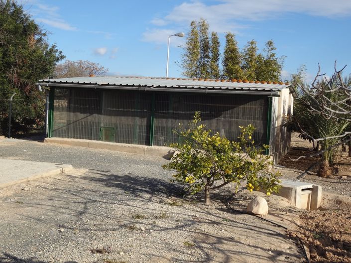 Image No.19-5 Bed Country House for sale