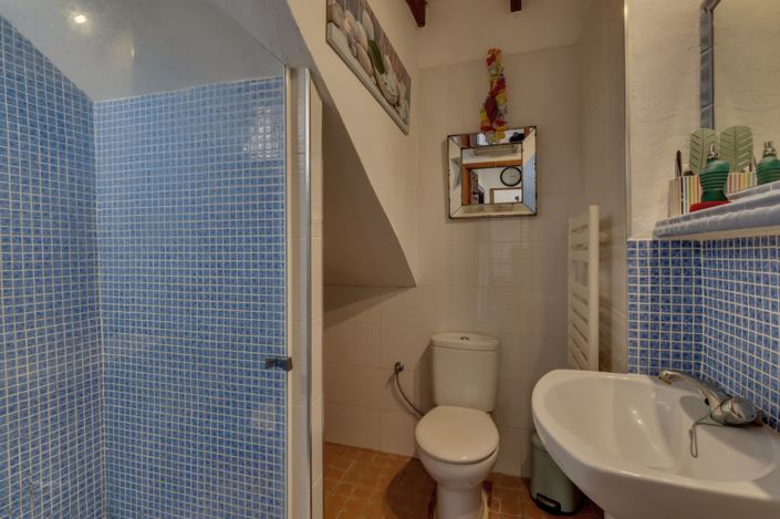 Image No.24-4 Bed Finca for sale
