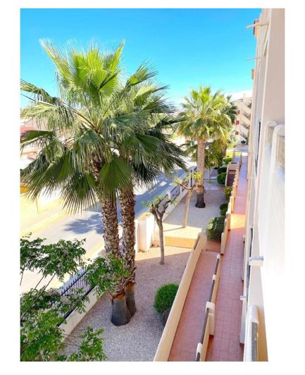 Image No.18-Appartement de 2 chambres à vendre à Playa Flamenca