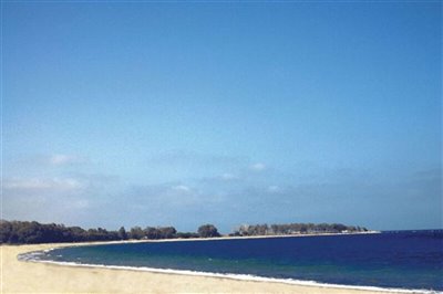 63-land-for-sale-in-palomares-4-large