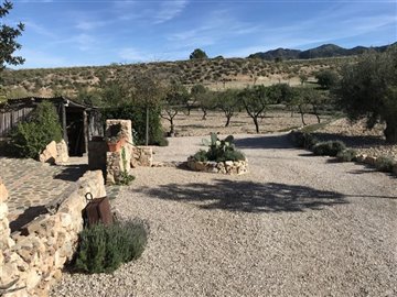 305-for-sale-in-lorca-3959-large
