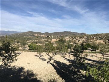 305-for-sale-in-lorca-3956-large