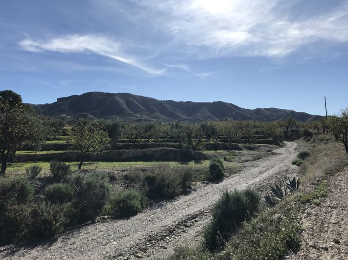 Image No.2-4 Bed Finca for sale