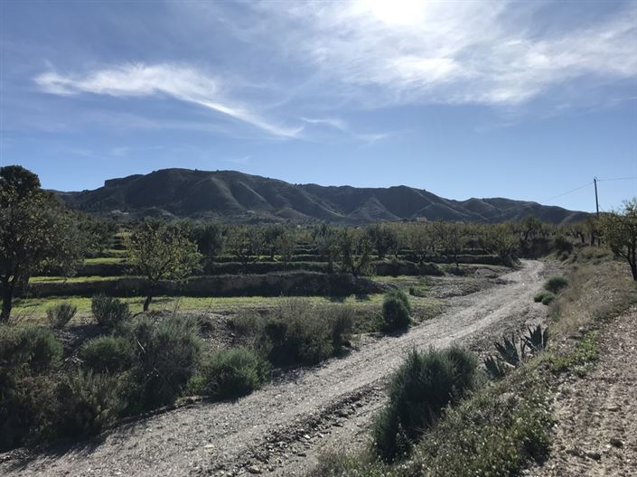 Image No.2-4 Bed Finca for sale