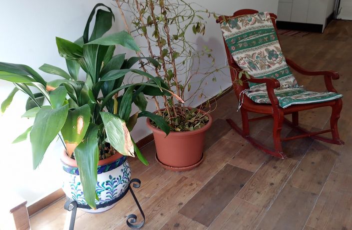 Image No.12-5 Bed Country House for sale