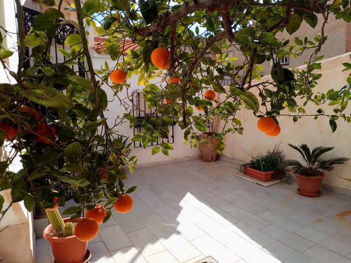 Image No.18-5 Bed Country House for sale