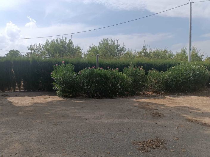 Image No.14-3 Bed Country House for sale