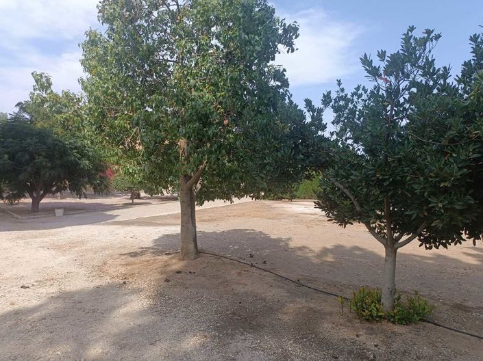 Image No.16-3 Bed Country House for sale