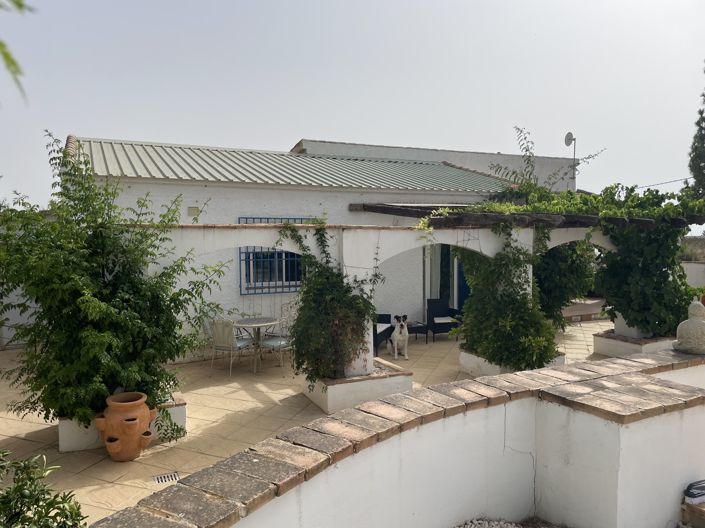 Image No.19-4 Bed Finca for sale