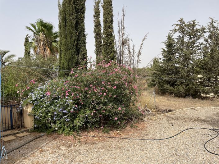 Image No.30-4 Bed Finca for sale