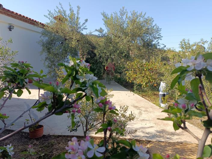 Image No.26-3 Bed Villa for sale