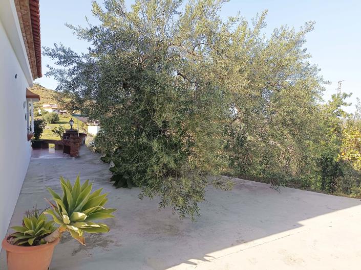 Image No.27-3 Bed Villa for sale