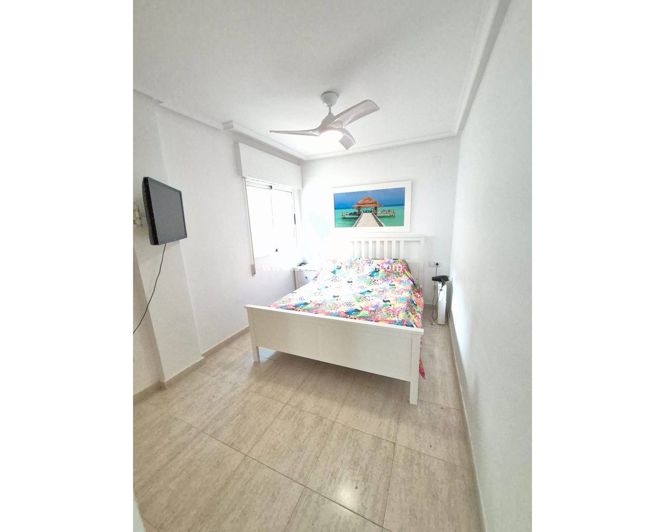 Image No.46-3 Bed Quad for sale