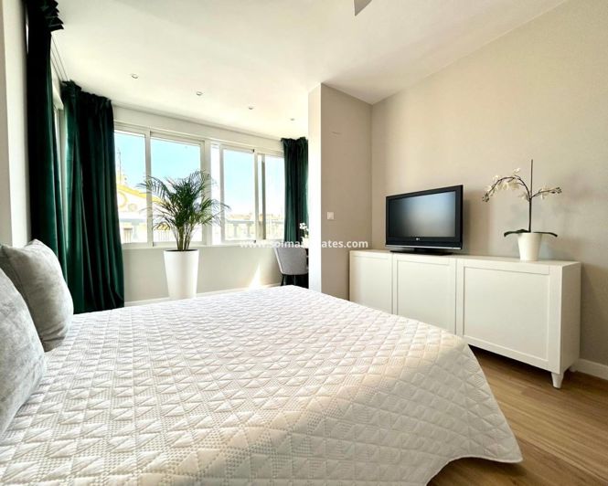 Image No.14-3 Bed Quad for sale