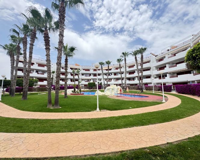 Image No.1-Appartement de 2 chambres à vendre à Playa Flamenca