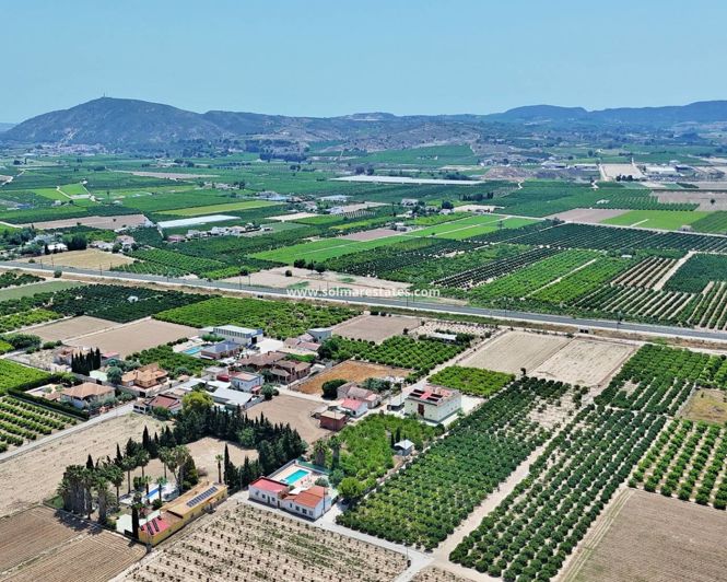 Image No.40-Maison de 3 chambres à vendre à Orihuela