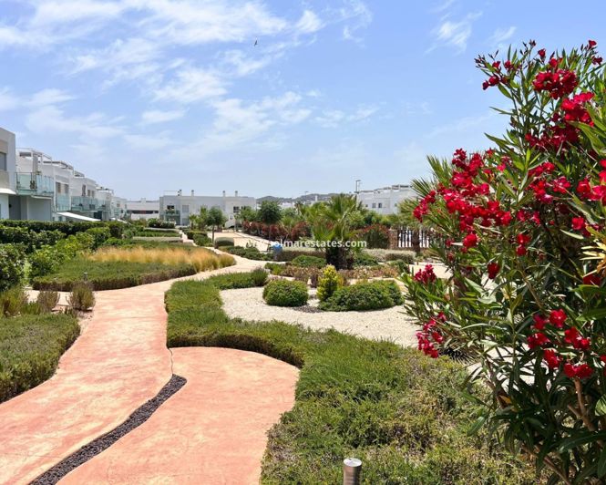 Image No.14-Appartement de 1 chambre à vendre à Vistabella Golf