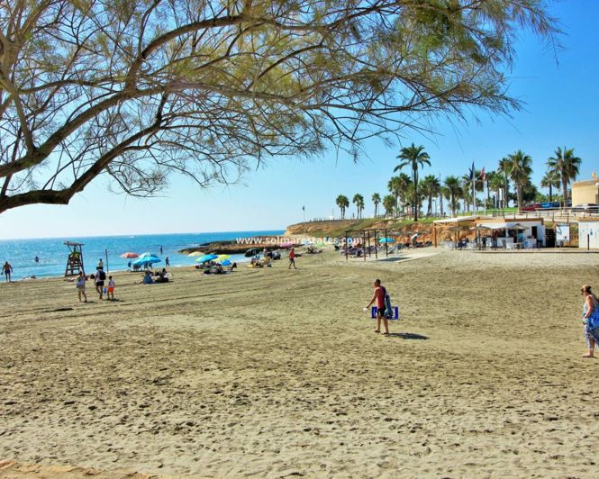 Image No.46-2 Bed Quad for sale