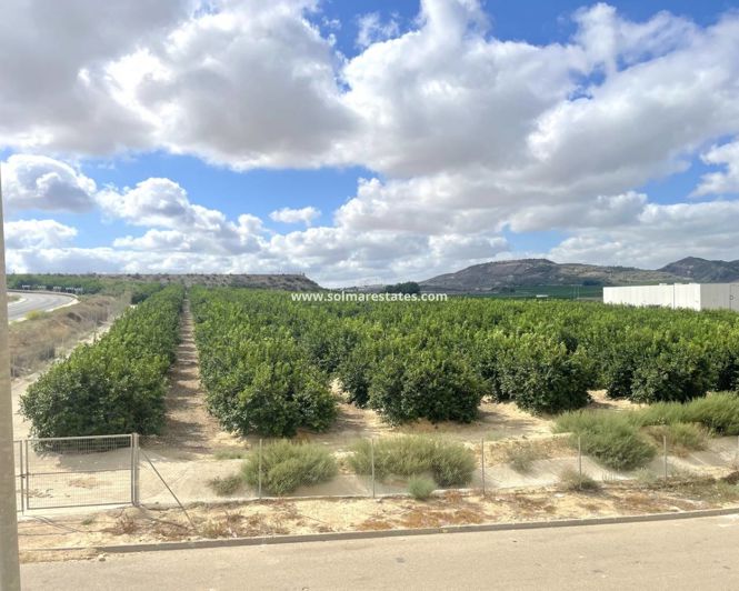 Image No.23-Appartement de 2 chambres à vendre à Algorfa