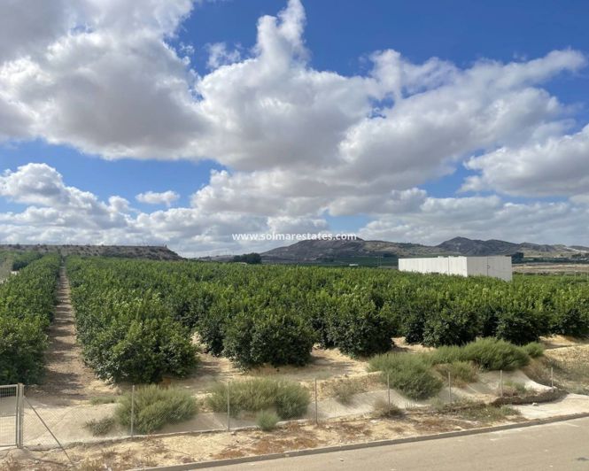 Image No.3-Appartement de 2 chambres à vendre à Algorfa