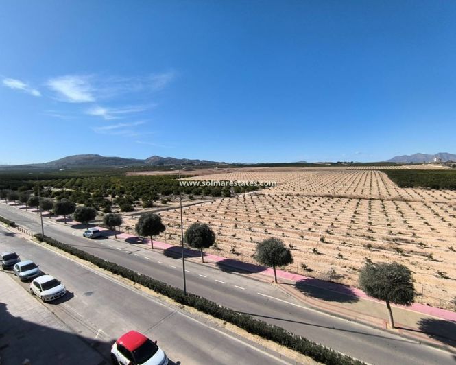 Image No.15-Appartement de 2 chambres à vendre à Algorfa