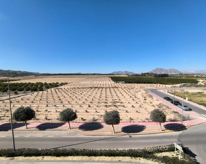 Image No.16-Appartement de 2 chambres à vendre à Algorfa