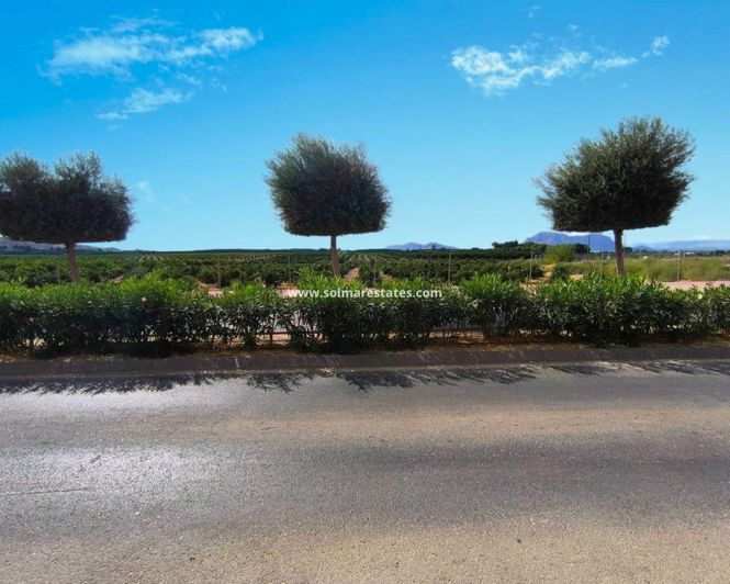 Image No.17-Appartement de 2 chambres à vendre à Algorfa