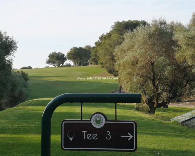 Image No.29-3 Bed Quad for sale