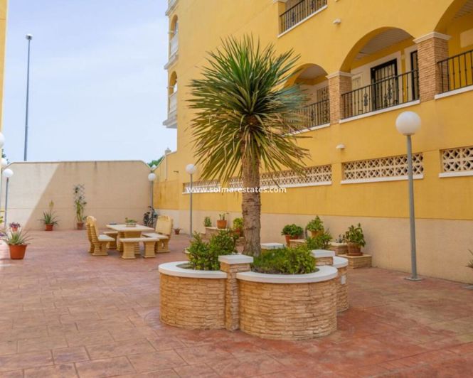 Image No.21-Appartement de 2 chambres à vendre à Algorfa