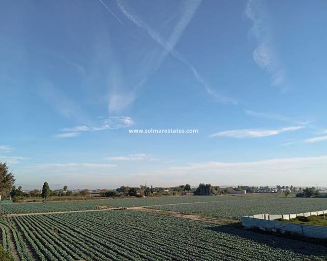 Image No.4-Maison de ville de 2 chambres à vendre à Daya Vieja