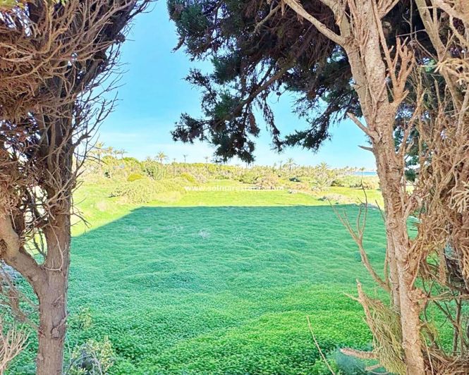 Image No.32-1 Bed Apartment for sale