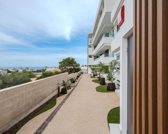 Image No.6-Appartement de 2 chambres à vendre à Playa Flamenca