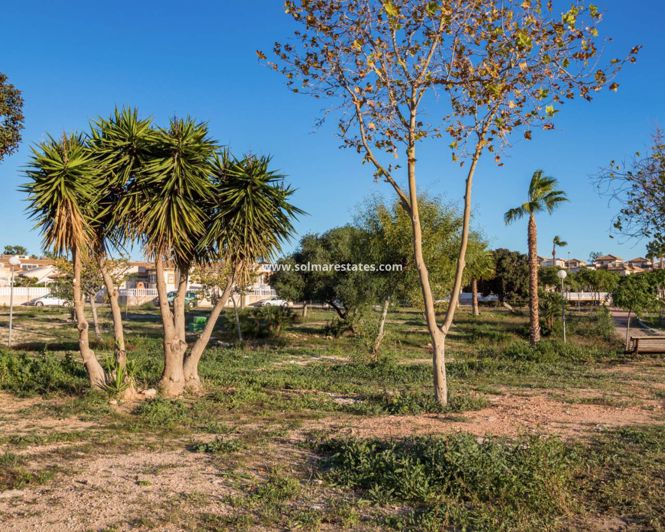 Image No.35-2 Bed Quad for sale