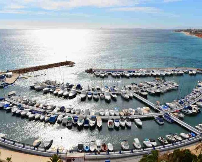 Image No.23-Appartement de 1 chambre à vendre à Playa Flamenca