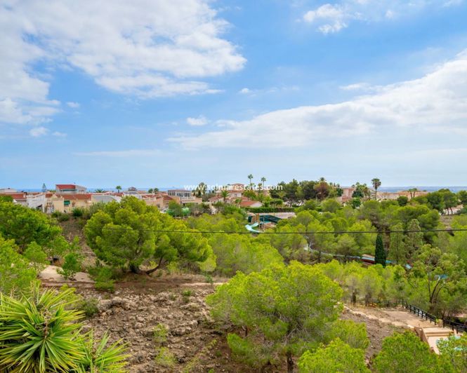 Image No.39-Maison de ville de 2 chambres à vendre à Ciudad Quesada