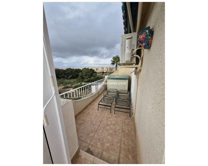 Image No.10-5 Bed Quad for sale